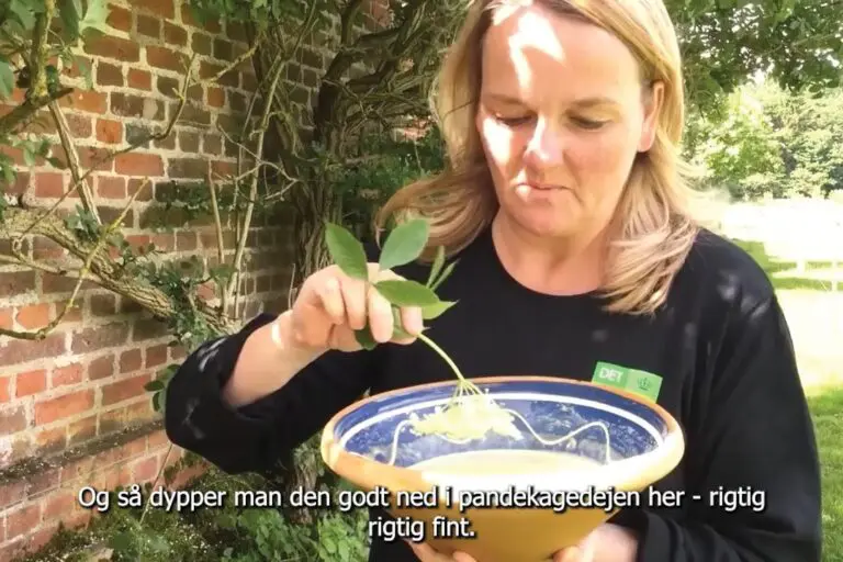 Bettina Buhl fortæller om overtro og hyldeblomst