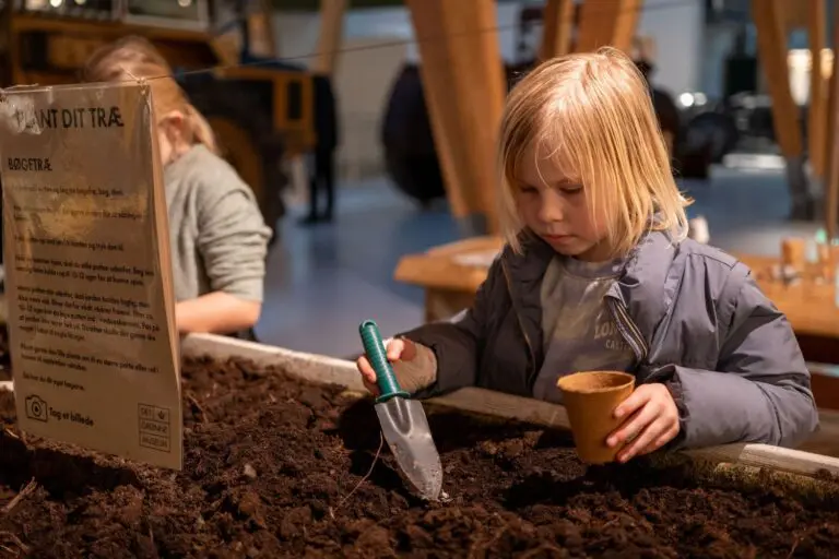 Et barn er ved at så et agern på Det Grønne Museum.