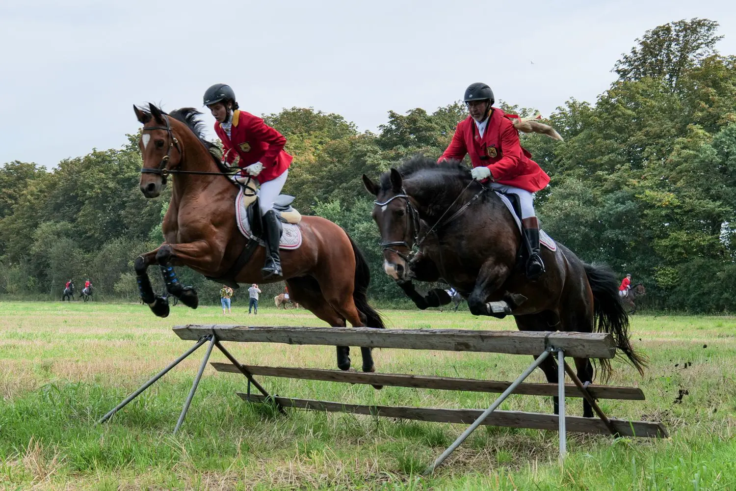 2 heste springer over forhindring til ELRO-dag