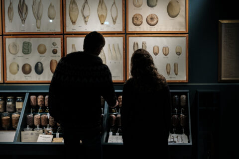 Tag familien med på opdagelse i planteforædlingens historie
