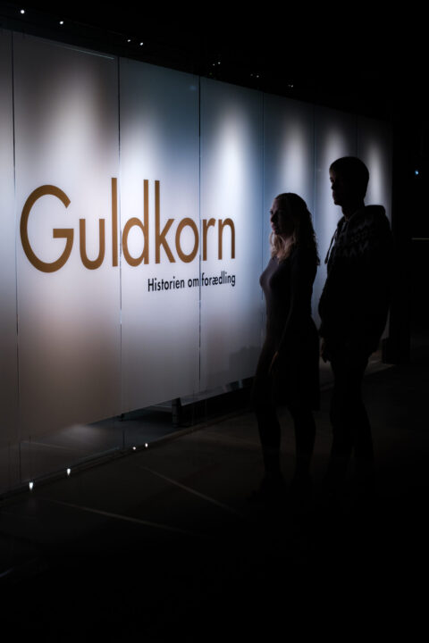 Guldkorn er Det Grønne Museum, Gl. Estrup, nye udstilling om plateforædling