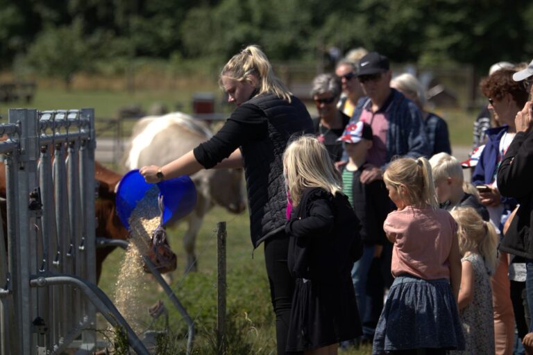 Museets gæster ser på, mens der er fodderrunde.